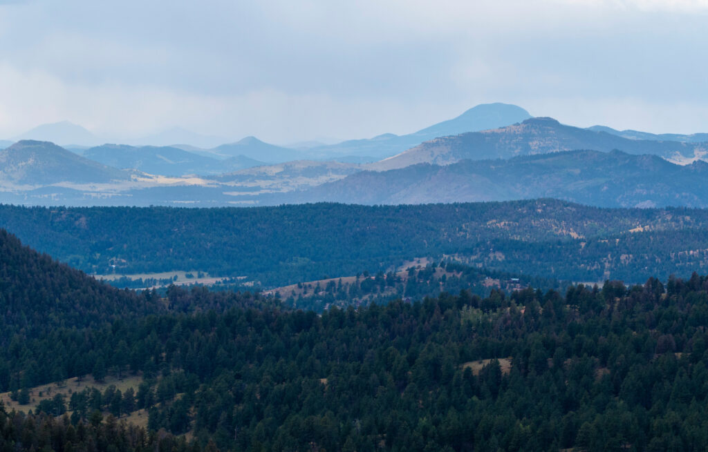 hazy forest in Mueller State Park